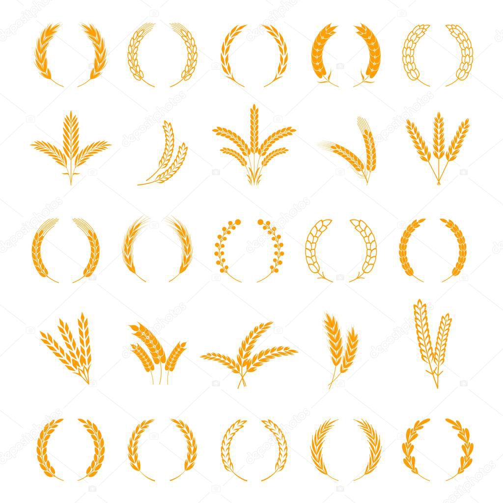 Wheat and rye ears. Harvest barley grain, growth rice stalk. Field cereal icons set. Wreath spikes and stalks vector bordure elements for business signs