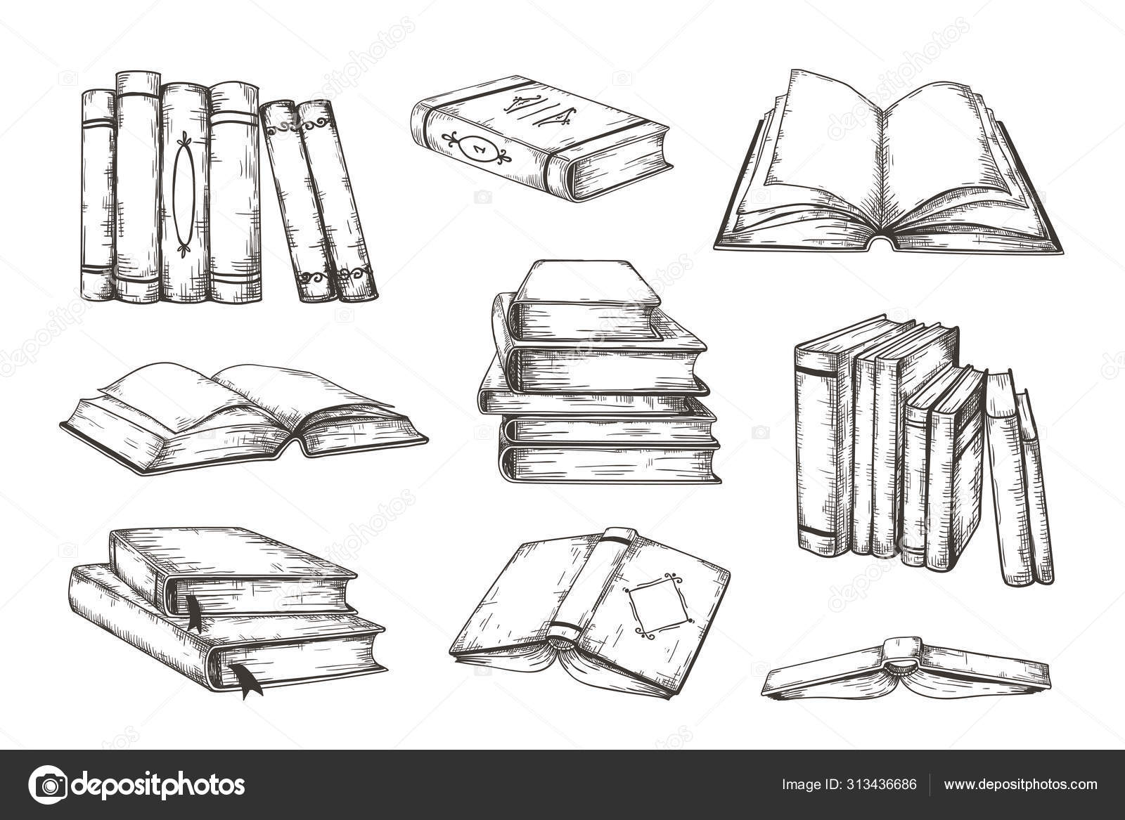 Sketch books ink drawing vintage open book Vector Image