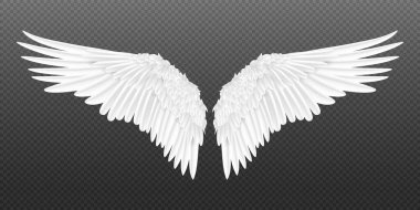 Realistic wings. Pair of white isolated angel wings with 3D feathers on transparent background. Vector bird wings design clipart