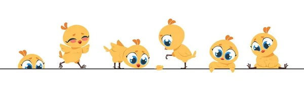 Güzel tavuk kenarı. Komik bebek piliç, küçük düz karakterler tebrik kartları için çerçeve tasarımı. Kümes hayvanlarıyla vektör arkaplan — Stok Vektör