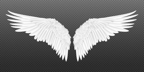 Realistic wings. Pair of white isolated angel wings with 3D feathers on transparent background. Vector bird wings design