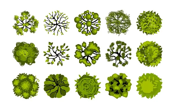 Vista superior del árbol. Plantas de jardín y arbustos para la planificación aérea, elementos de paisaje ojo de pájaro. Vector conjunto de diseño del parque arquitectónico — Archivo Imágenes Vectoriales