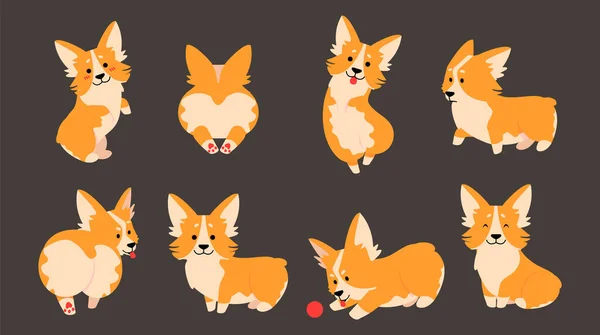 Karakter Corgi. Hewan kartun hewan peliharaan domestik dengan pose yang berbeda, anjing lucu dan lucu dengan emosi, anjing bermain dengan bola, mengisolasi stiker vektor yang ditetapkan pada latar belakang gelap - Stok Vektor