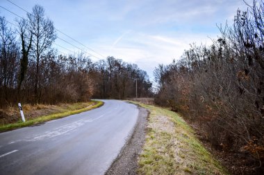 Sonbahar manzarası Macar kırsalında dolambaçlı yollar