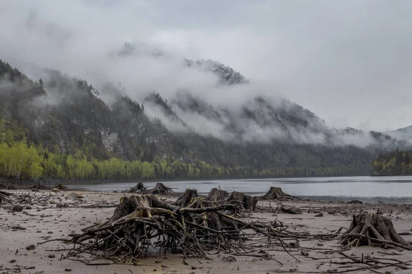 May Snow Tops Fog Yenisei — Stock Photo, Image