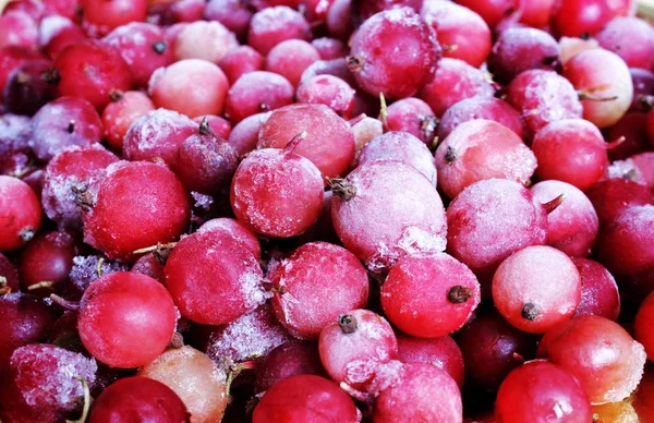 붉은 꽁꽁 얼어붙은 딸기는 얼음 과 얼음으로 덮여 있고, 통나무배, 월귤, 크랜 베리, 겨울에 먹을 수있는 비타민 이 있습니다. 위에서 본 광경. 매크로 — 스톡 사진