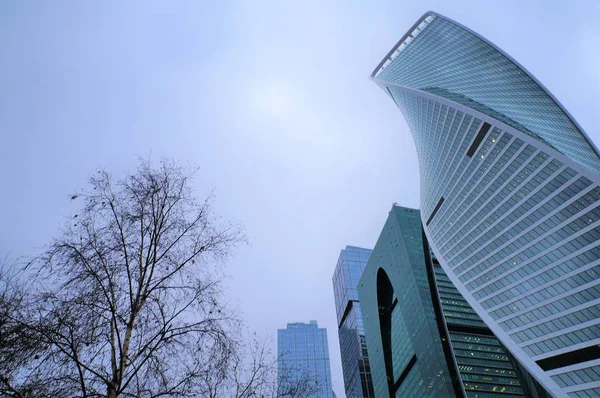 Febbraio 2019 Russia. Mosca. In città. grattacieli in vetro del business center. vetro colorato blu. vista in basso accanto a un albero. concetto di città e natura . — Foto Stock