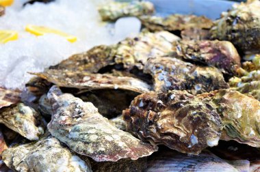 buz üzerinde kapalı istiridye, deniz lezzetleri
