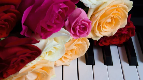 Bukett färgglada rosor på piano Keys. Röd, rosa, beige, naken, elfenben blommor. Firande, Grattis, musik, teater. internationella kvinnodagen, mors dag, romantik, kärlek, — Stockfoto