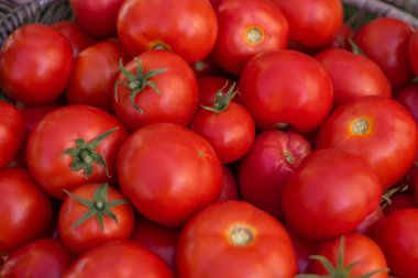 kırmızı olgun domates kutusu, domates doku