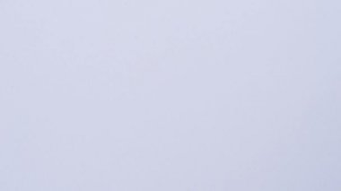 İki cordyceps sinensis detay