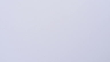 Cordyceps sinensis beyaz arka plan üzerinde grup