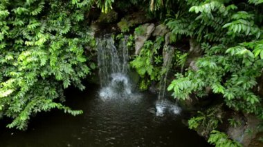 Manzara şelale ve ağaç bahar