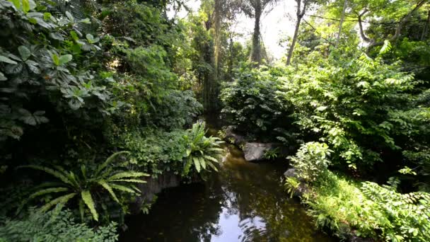 Paesaggio Fiume Albero Primavera — Video Stock