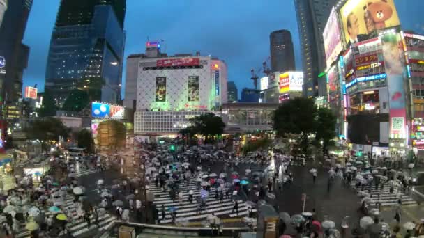 Tokyo Japon Juin 2018 Vidéo Time Lapse Personnes Parapluies Traversant — Video