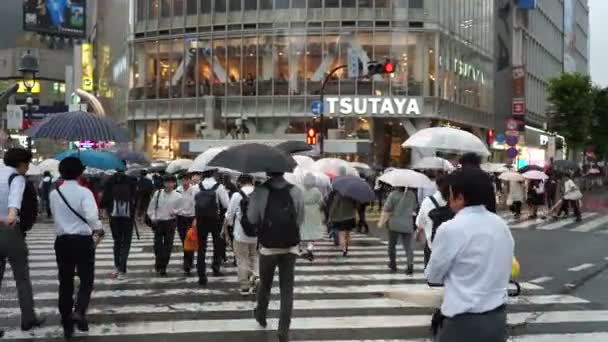 日本东京 2018年6月20日 雨天涩谷道口行人的观点 — 图库视频影像