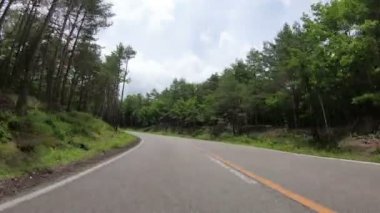 Görüş formu araba Mt. Fuji Subaru satırındaki.