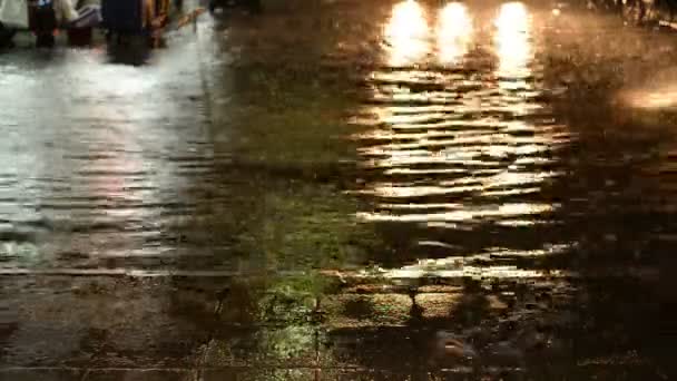 Überschwemmung Der Straße Bei Nächtlichem Regen Mit Autos Als Hintergrund — Stockvideo