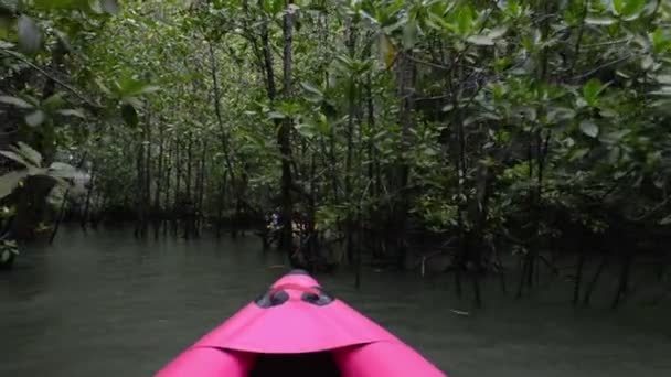 Kayak Attraverso Una Foresta Mangrovie Krabi Thailandia — Video Stock