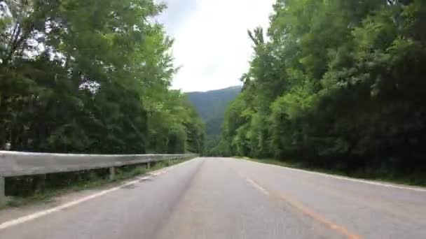 Pov Ponto Vista Carro Dirigindo Através Estrada Montanha Fuji Japão — Vídeo de Stock