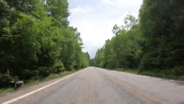 日本の富士の山で田舎道を運転 ハメ撮り視点車 — ストック動画