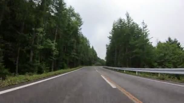 ハメ撮り視点車の富士の山で田舎道を運転 — ストック動画