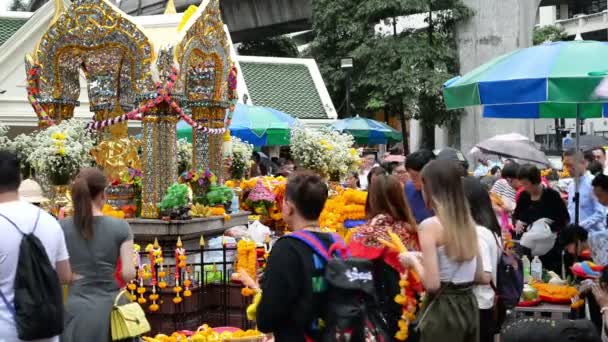 งเทพฯ ประเทศไทย พฤศจ กายน — วีดีโอสต็อก