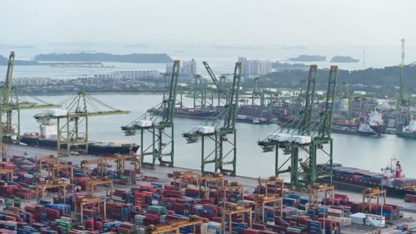 Singapura Singapura Janeiro 2019 Caducidade Dia Para Noite Porto Comercial — Vídeo de Stock