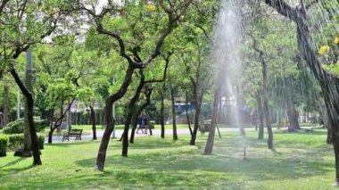 bahçede ağaçları sulama için 4k Springer sistemi