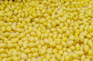 Sebze salatası için Ginkgo tohumları arka plan