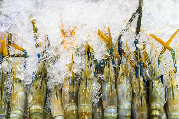 Raw Large Shrimps Ice Market — Stock Photo, Image