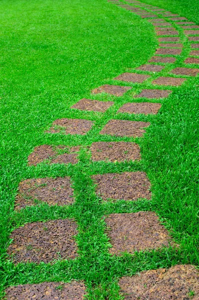 Stone Path Infield Grass — Stock Photo, Image