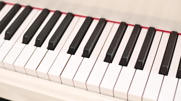 ミュージシャンなしで演奏する4Kグランドピアノ — ストック動画