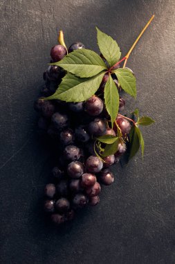 Koyu arkaplanda bir demet üzüm