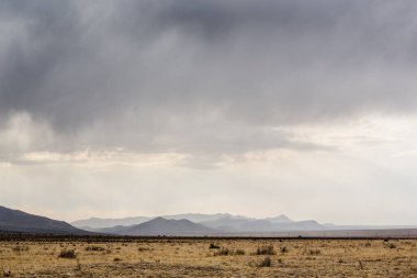 New Mexico, harika bir ülkenin ıssız çöl manzarası.