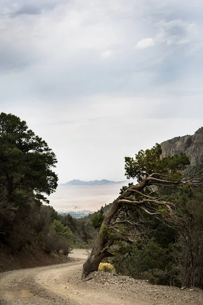 Novo México Paisagem Deserta Desolada País Maravilhoso — Fotografia de Stock