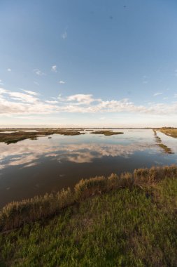 Ravenna - Bataklık Suyu Refleksi - İtalya