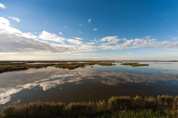 Ravenna - Bataklık Suyu Refleksi - İtalya