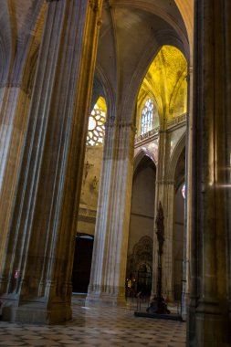 İspanya 'daki Malaga Katedrali