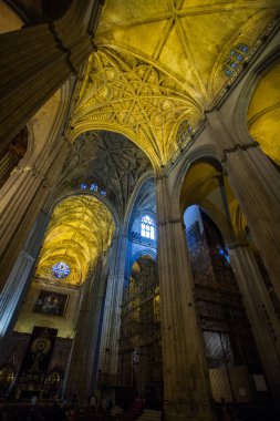 İspanya 'daki Malaga Katedrali