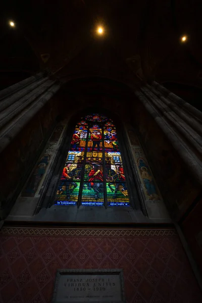 Dentro Maravilhosa Catedral Wien — Fotografia de Stock