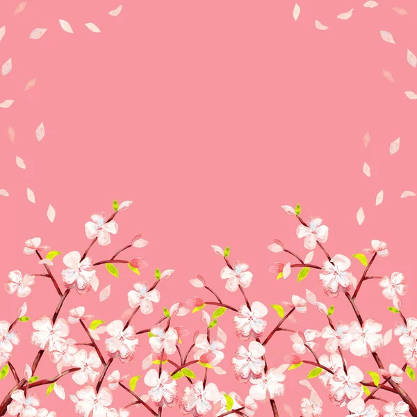 Sduare Frame Blooming Cherry Twigs Grin Leaves Soaring Petals Pink — стоковое фото