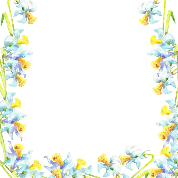 Marco Primavera Los Bordes Narcisos Azules Con Medio Amarillo Con —  Fotos de Stock