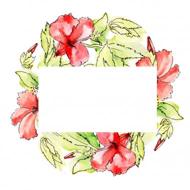 suluboya çerçeve - dikdörtgen; yeşil yeşillik, tomurcuklar ve kırmızı hibisc