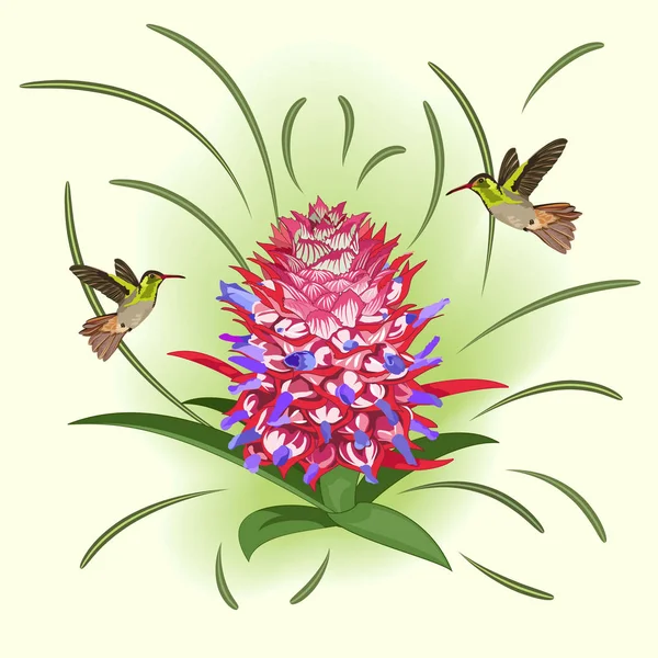 Çiçekli Ananas Sinek Kuşlarının — Stok Vektör