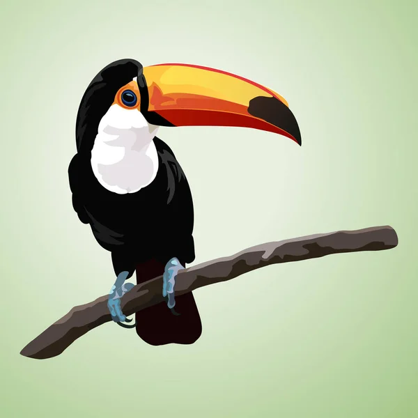 Toucan Géant Sur Branche — Image vectorielle