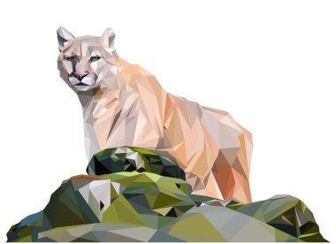 Açık kahverengi puma taşların arkasında duruyor, düşük poli illistration