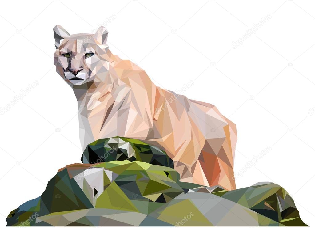 Light brown cougar stands behind the stones, low poly illistration