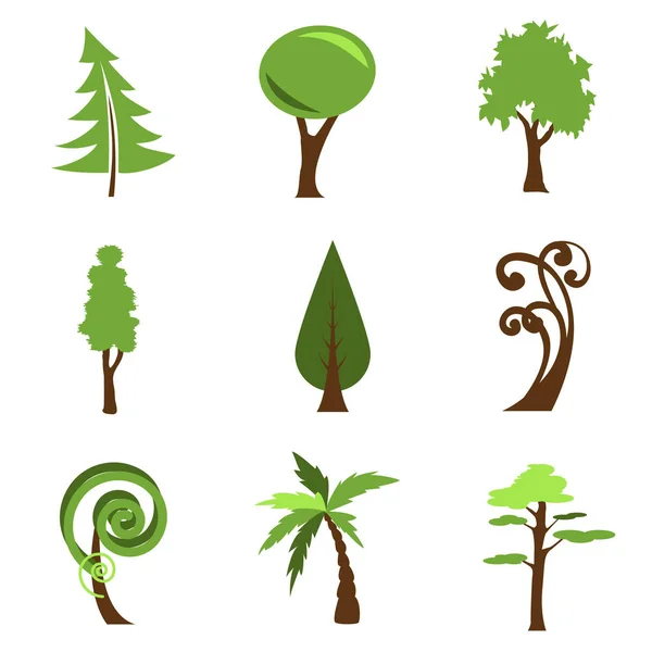 Set Stylized Drawings Tree Image — Stock Vector