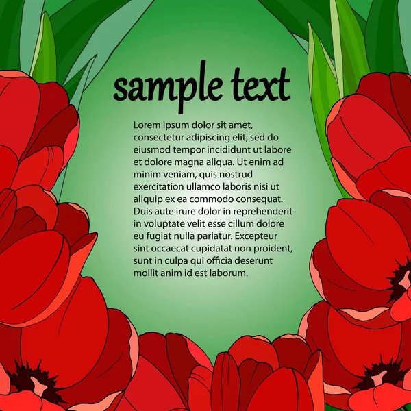 Banner Para Texto Con Amapolas Brillantes Ilustración Vectorial Para Diferentes — Vector de stock